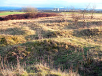 Knigspfalz & Kaiserpfalz Werla bei Schladen & Hornburg - Foto: Wikipedia